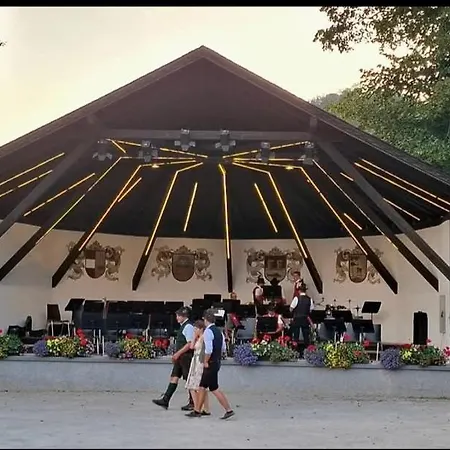 Brzyski * 巴特奥塞