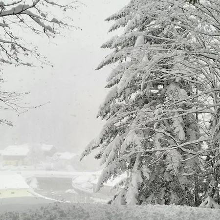 Brzyski Daire Bad Aussee