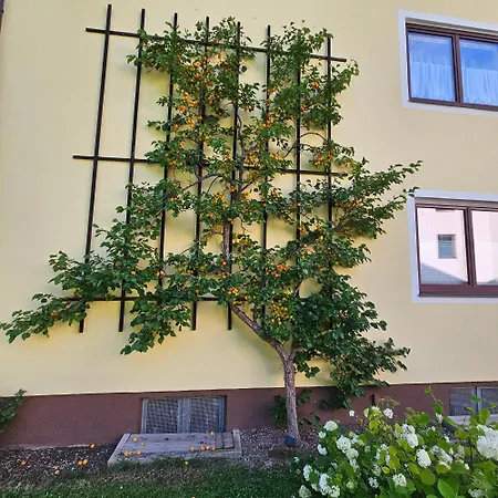 Brzyski バート・アウスゼー