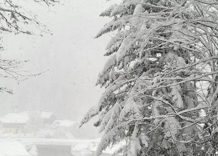 Brzyski Apartamento Bad Aussee